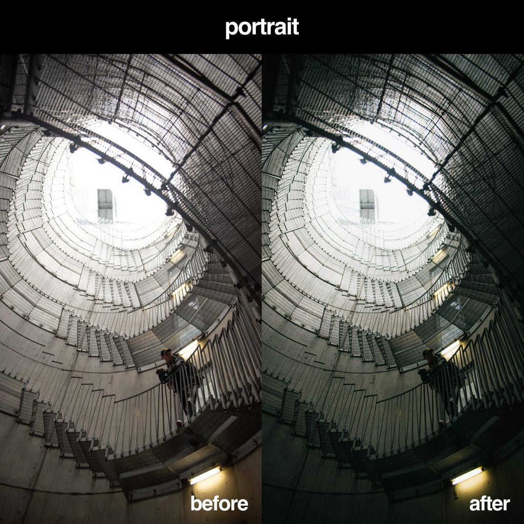 Dark Portrait Preset
