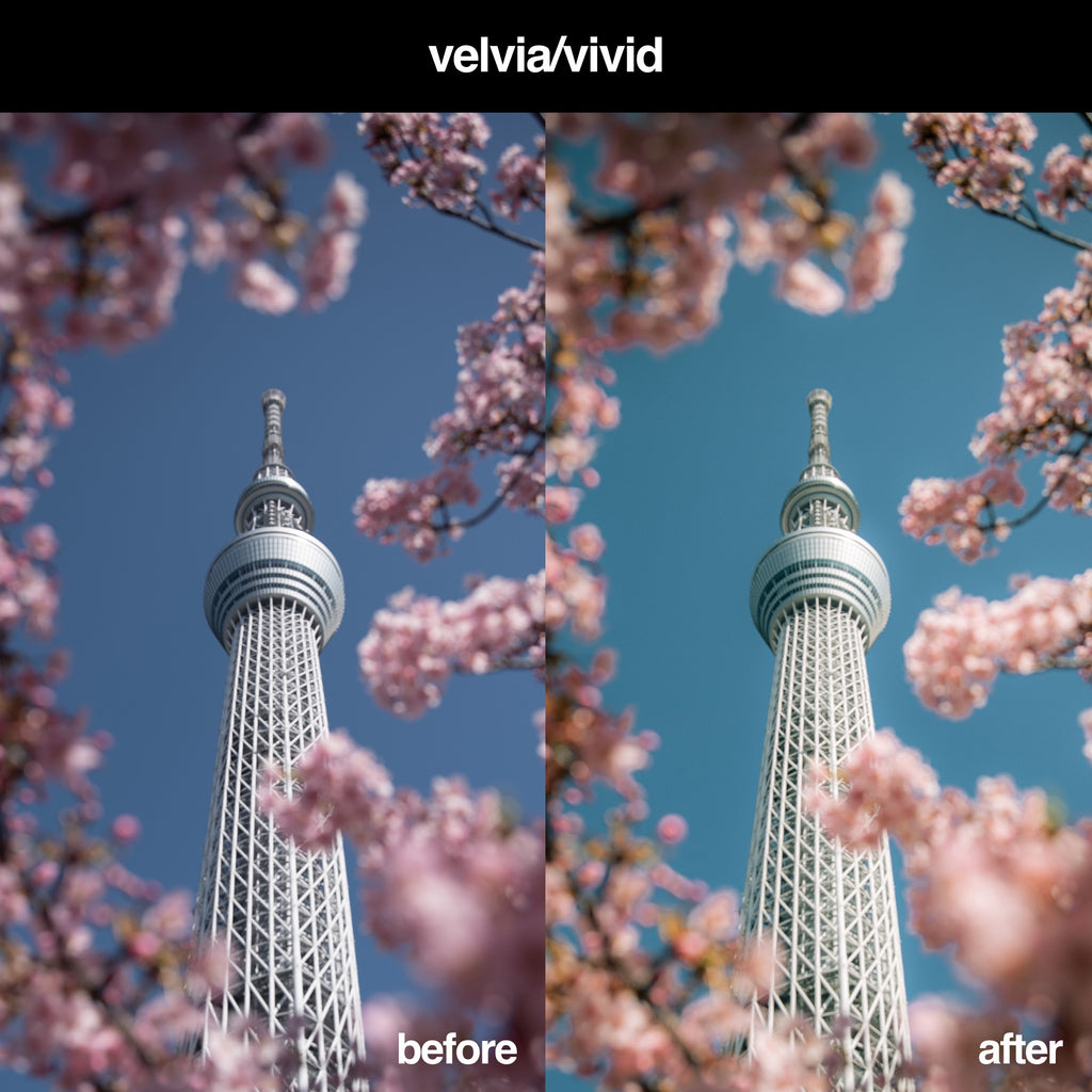 Fujifilm Velvia Preset