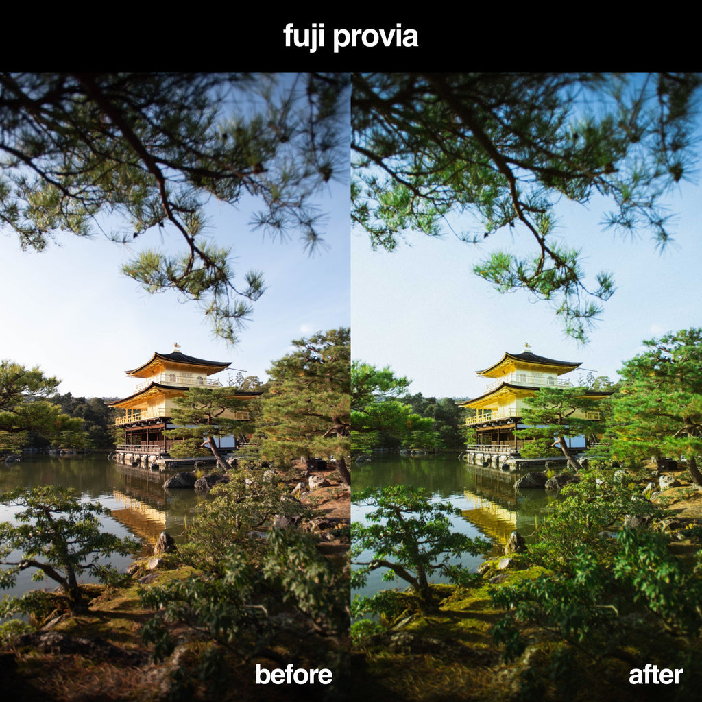 Fuji Provia Lightroom Presets