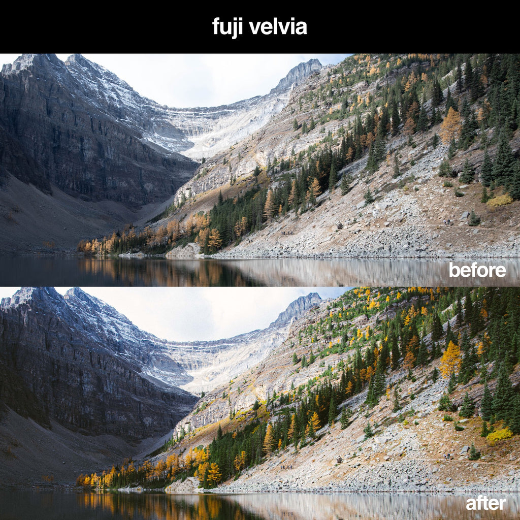 Fuji Velvia Lightroom Presets