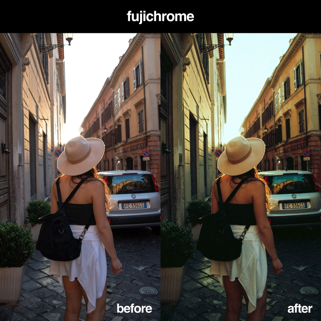 Fujichrome Presets