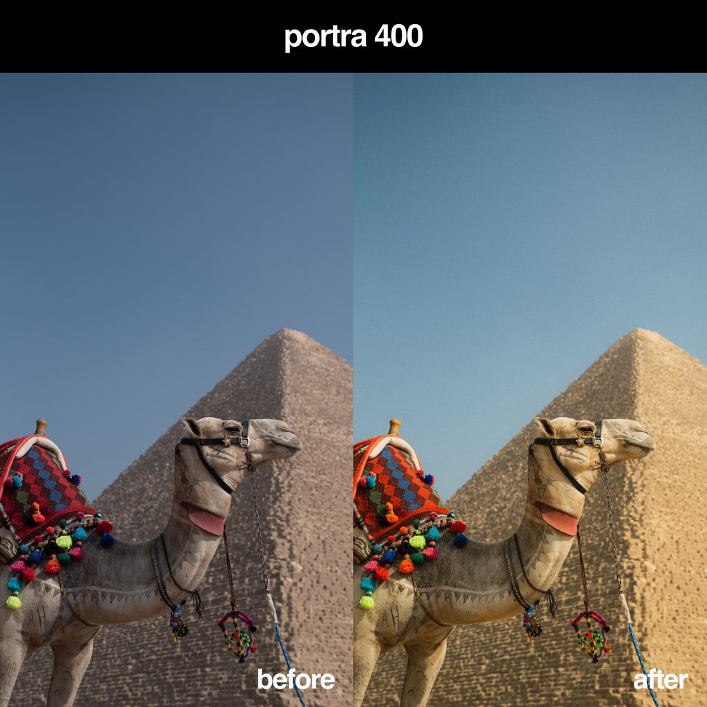 Portra 400 Edit