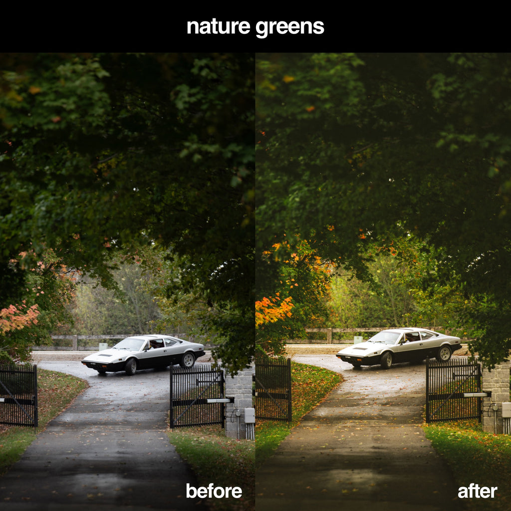 Kodak Nature Greens Presets