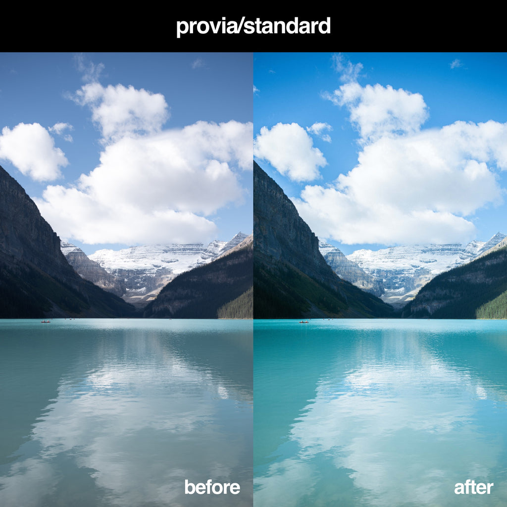 Fujifilm Provia Standard Preset