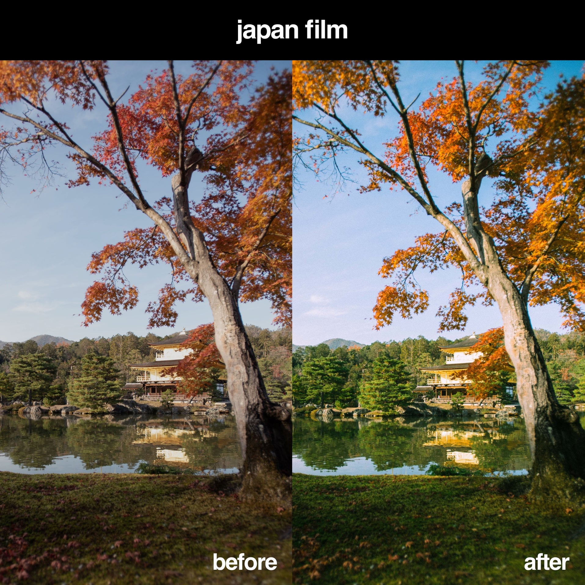 Japanese Lightroom Preset Pack & Gridfiti