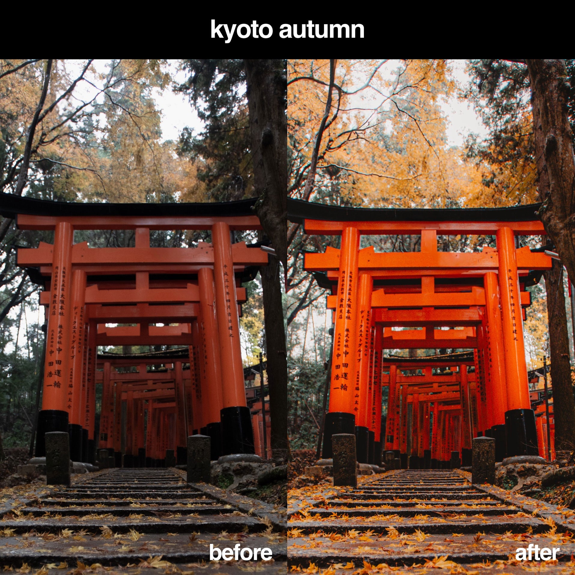 Japanese Lightroom Preset Pack & Gridfiti