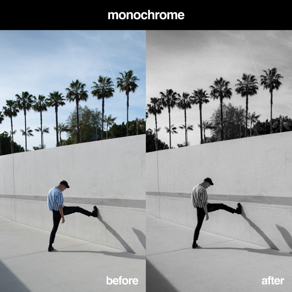 Monochrome Lightroom Preset