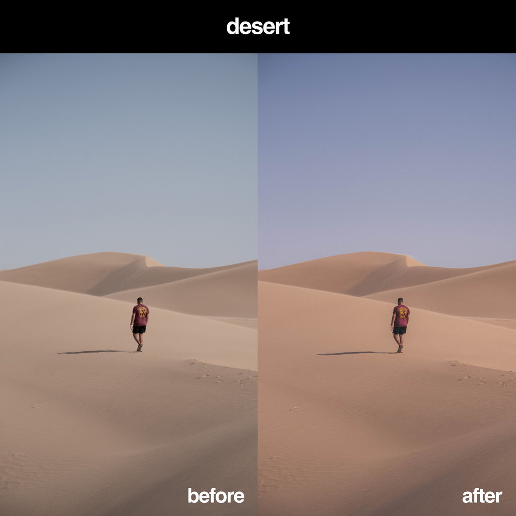 Desert Ektar Preset