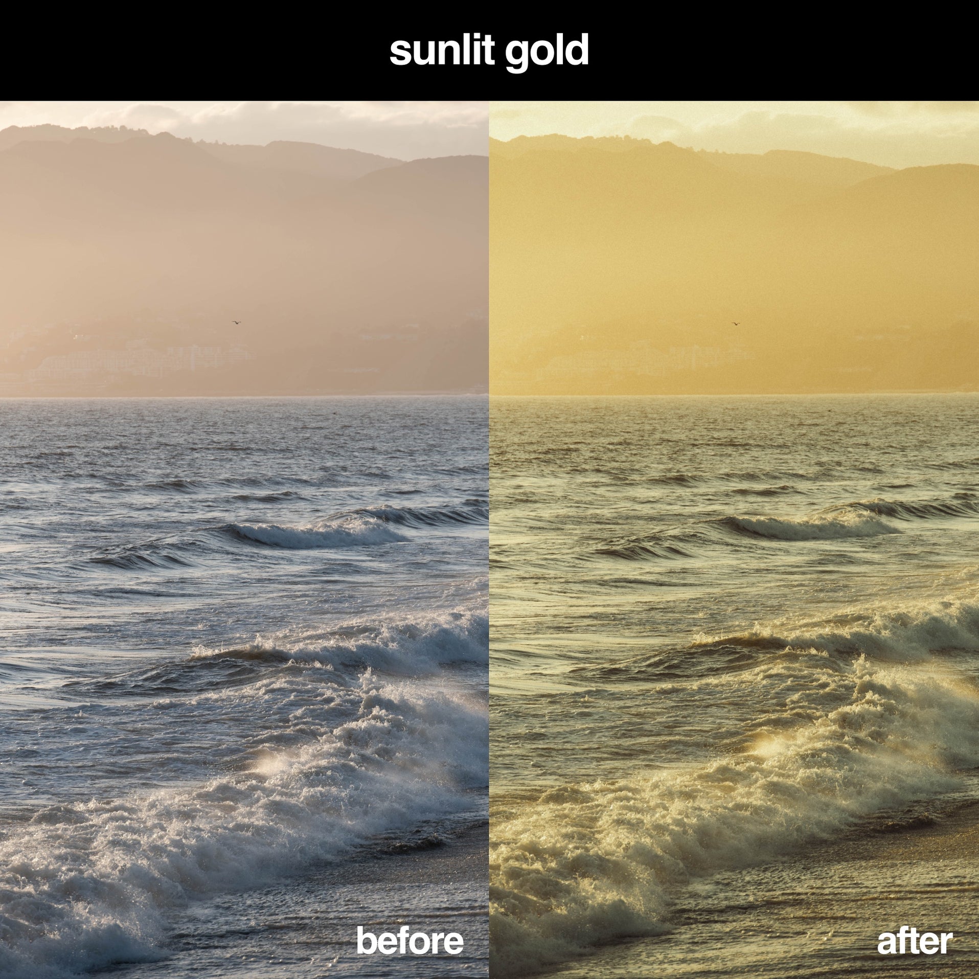 Kodak Gold Lightroom Preset Pack & Gridfiti