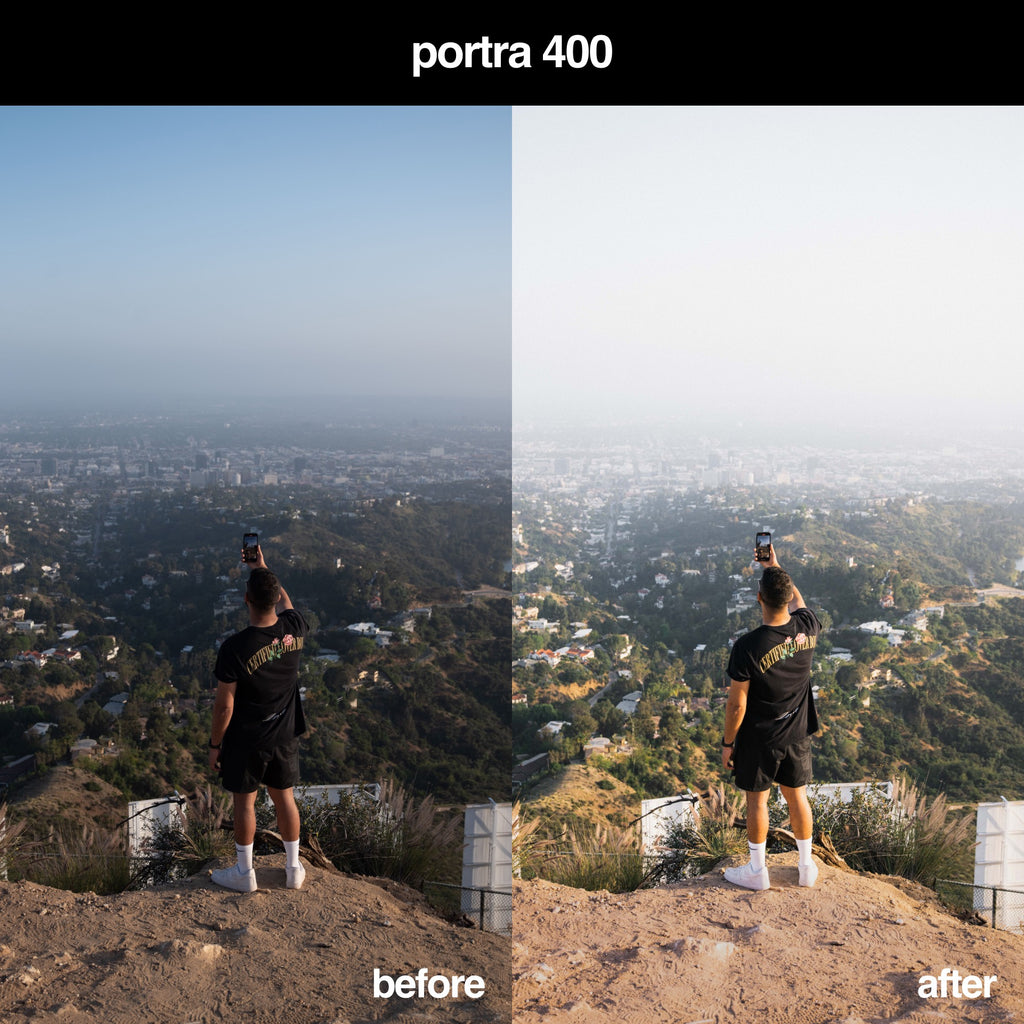 Portra 400 Landscape Filter